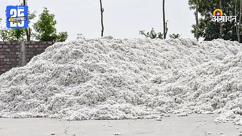 Cotton