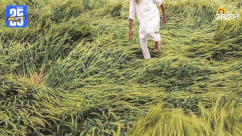 Crop Damage Compensation