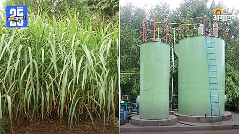 Fuel from Grass