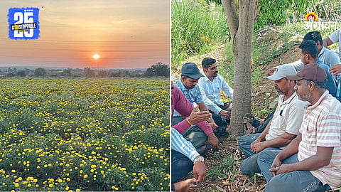Agriculture