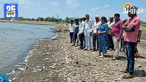 Fish Farming