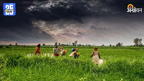 Heavy Rainfall