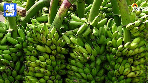 Banana