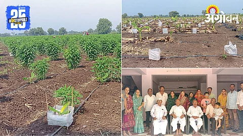 Indian Agriculture