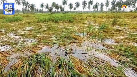 Crop Damage