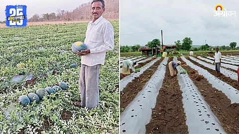 Vegetable Farming