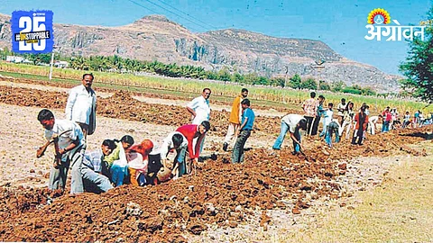 Rural Development