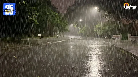 Rain