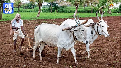 Kharif Season
