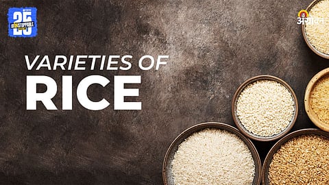 Varieties of Rice