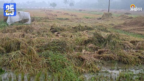 Agriculture Rain