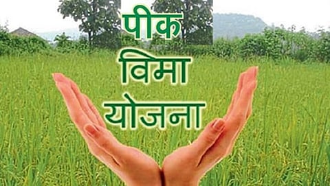 Farmers Solapur