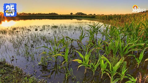 Crop Damage