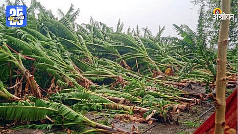 Crop Damage