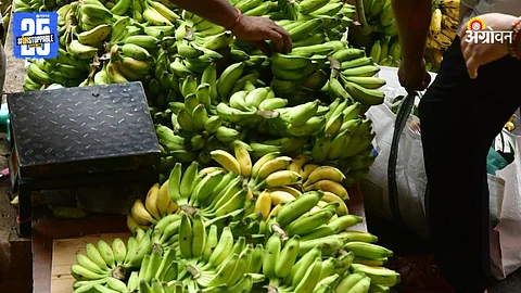 Banana Market