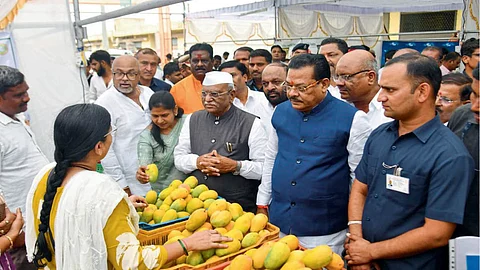 Market Facilities Farmers