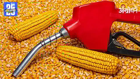 Ethanol Import