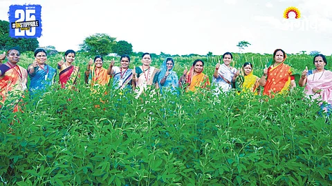 Sustainable Farming Models