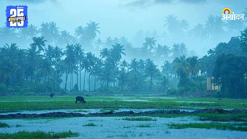 Monsoon