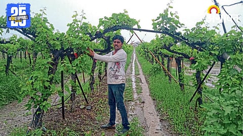 Rain Damage