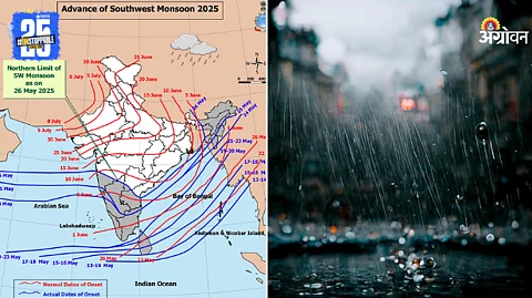 Rain Forecast