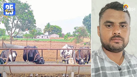 Dairy Farming