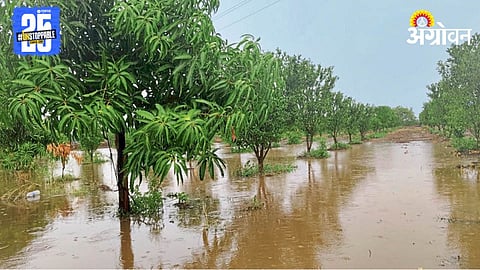 Heavy Rain