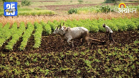 Kharif Season