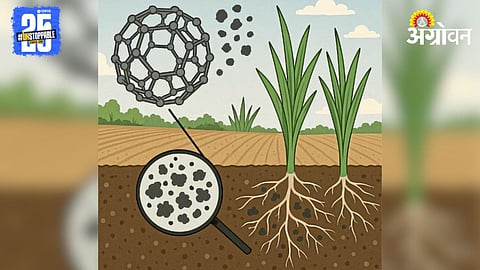 Soil Health