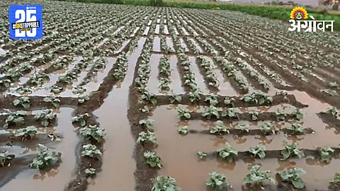 Marathwada Rainfall