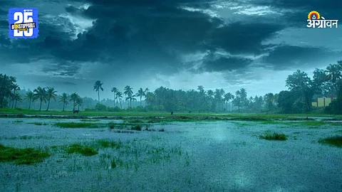 Monsoon