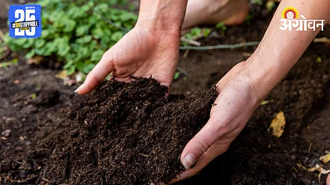 Soil Test