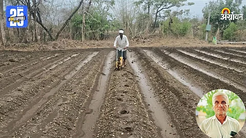 Soybean Farming