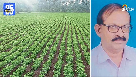 Groundnut Farming
