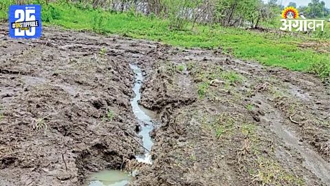 Agriculture Damage