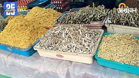 Dry Fish Market