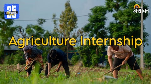Agriculture Internship