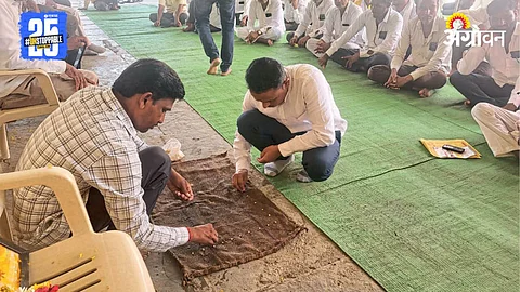 Seed Germination Test