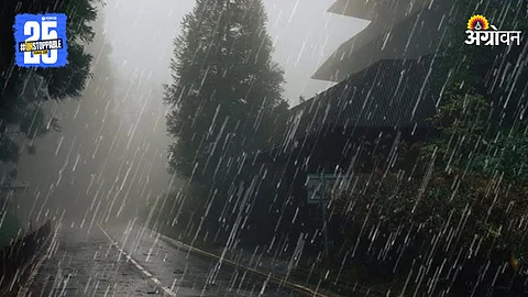 Rain