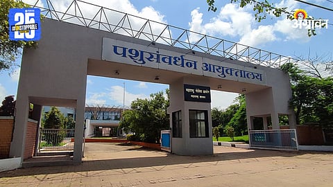 Animal Husbandry Commissionerate