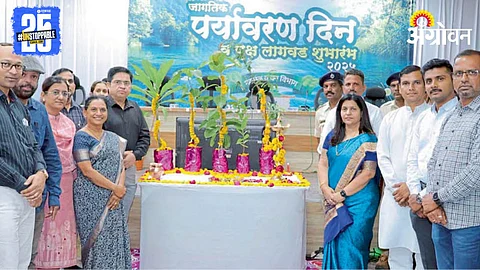 Tree Plantation
