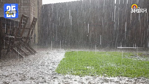 Monsoon