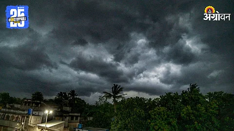 Monsoon Rain