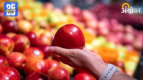Fruit Waxing Technology