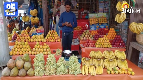 Fruit Market