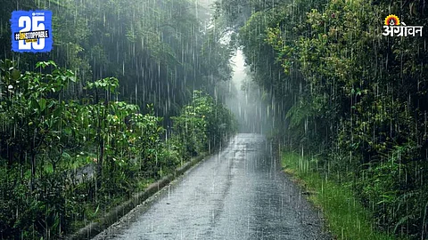 Monsoon Rain