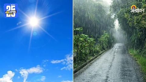 Weather Update