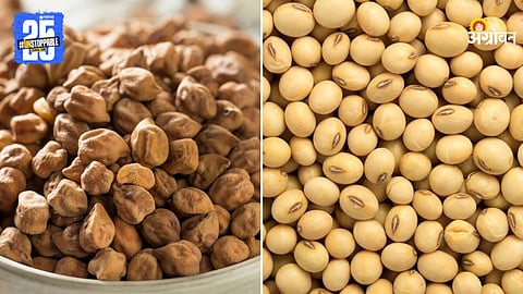 Chana and Soybean Market