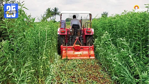 Agriculture