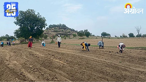 Kharif Season 2025